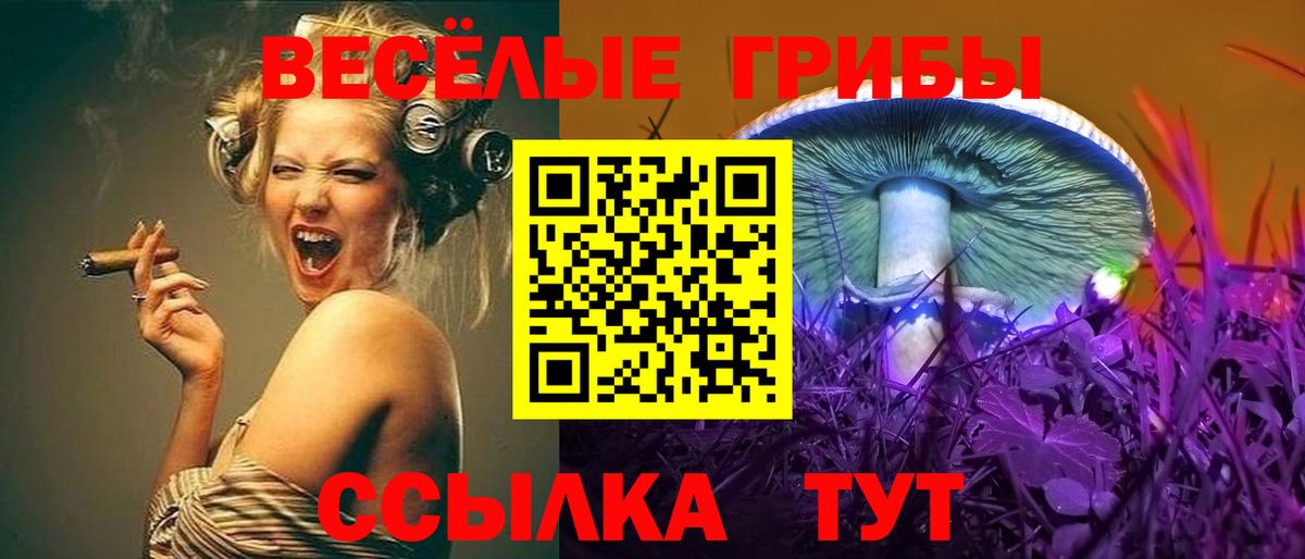 Галлюциногенные грибы прущие грибы  Вход с VPN  Тихвин 