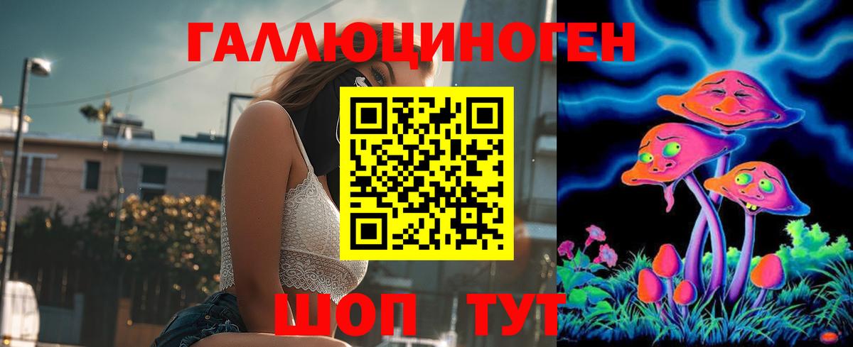 Псилоцибиновые грибы Cubensis Тихвин